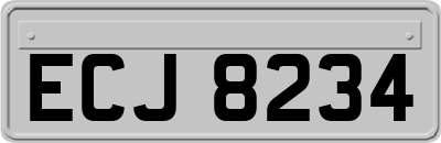 ECJ8234