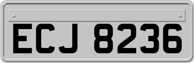 ECJ8236