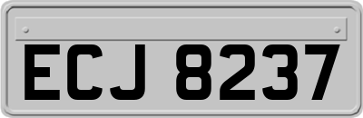 ECJ8237