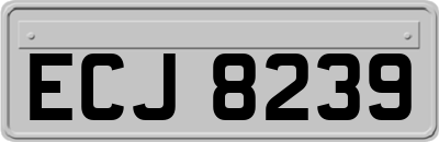 ECJ8239