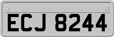 ECJ8244