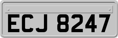 ECJ8247