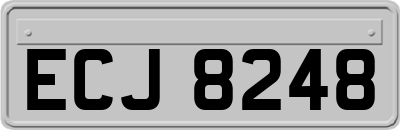 ECJ8248