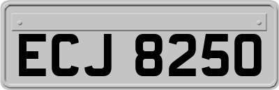 ECJ8250