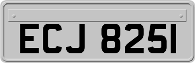 ECJ8251