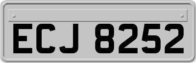 ECJ8252