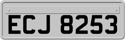 ECJ8253
