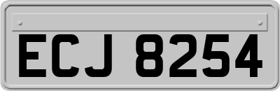 ECJ8254