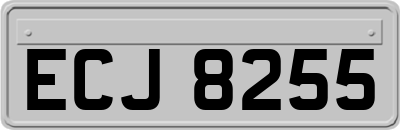 ECJ8255
