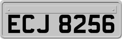 ECJ8256