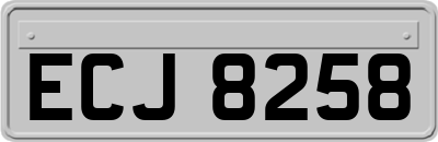 ECJ8258