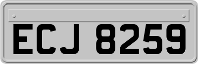 ECJ8259