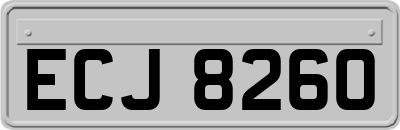 ECJ8260