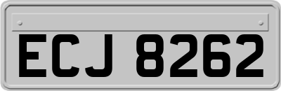 ECJ8262