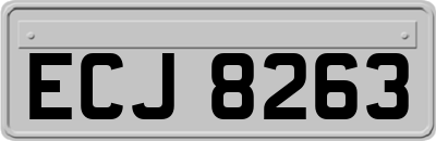 ECJ8263