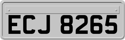 ECJ8265