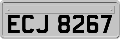 ECJ8267