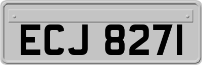 ECJ8271