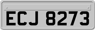 ECJ8273
