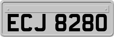ECJ8280