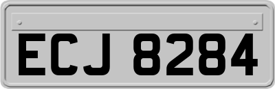 ECJ8284