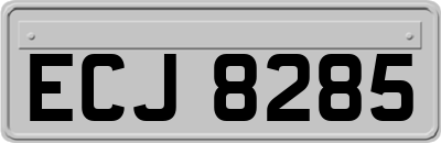 ECJ8285