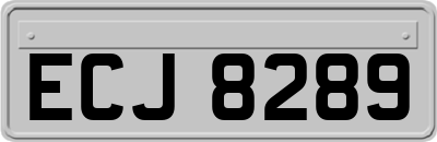 ECJ8289