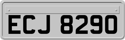 ECJ8290
