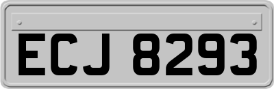 ECJ8293