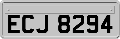 ECJ8294