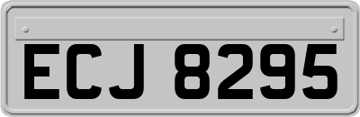 ECJ8295