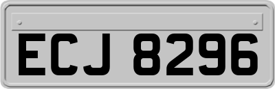 ECJ8296