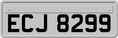 ECJ8299