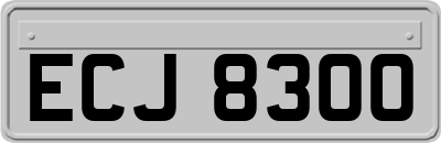 ECJ8300