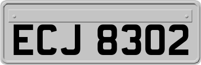 ECJ8302