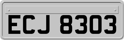 ECJ8303
