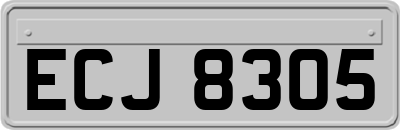 ECJ8305