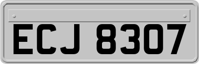 ECJ8307