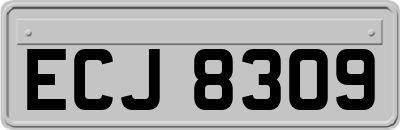 ECJ8309