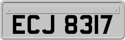 ECJ8317
