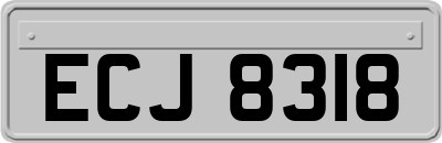 ECJ8318