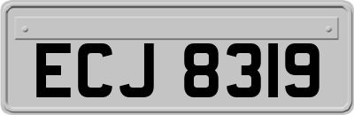 ECJ8319