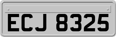ECJ8325