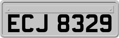 ECJ8329