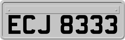 ECJ8333