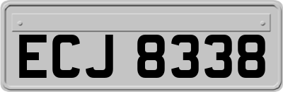ECJ8338