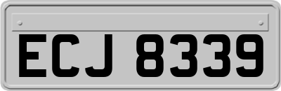 ECJ8339