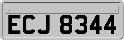 ECJ8344