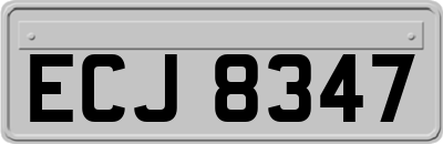 ECJ8347