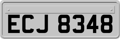ECJ8348